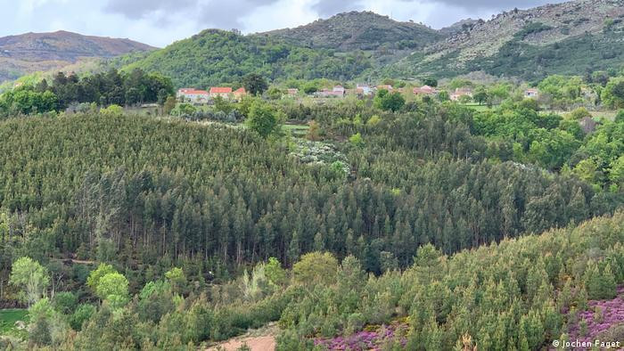 U Portugalu na snazi ​​trodnevna zabrana ulaska u šume